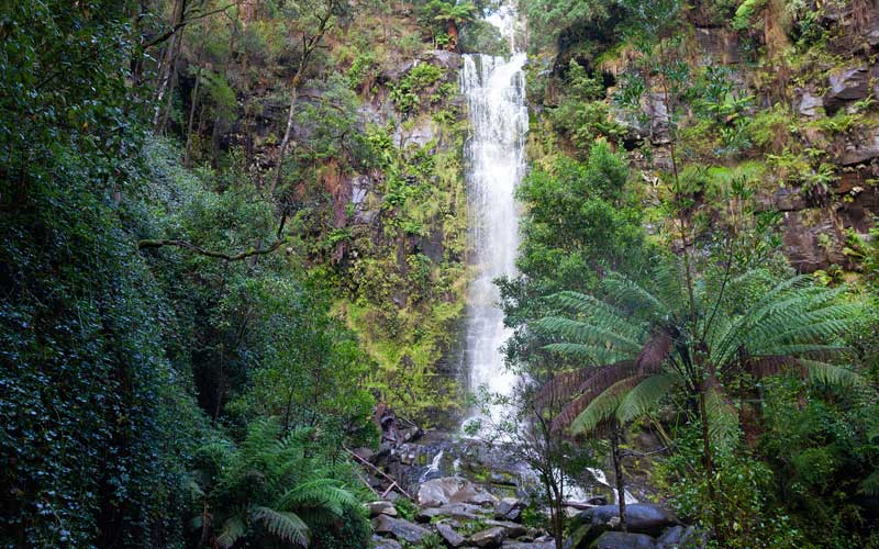 8 Erskine Falls Otways